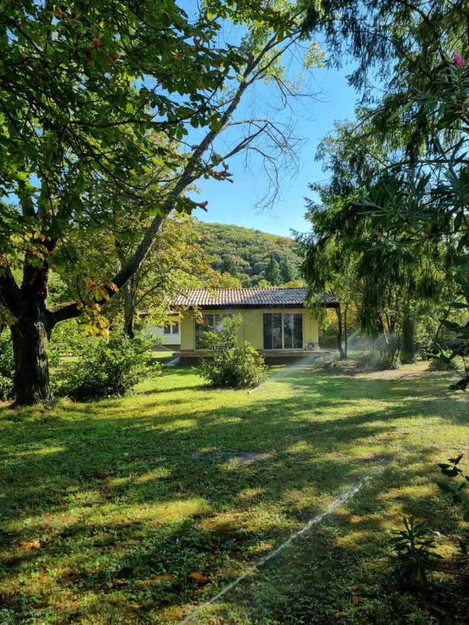 Fuk-Tak'S Bungalow Dojran Exterior photo